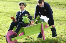 45,000 children are set to sow, grow (and eat) their own fruit and veg this spring