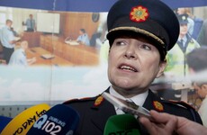 Nóirín O'Sullivan refutes Dáil claims about her treatment of Maurice McCabe