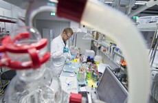 Just right: Trinity scientists find the 'Goldilocks' genes which cause disease