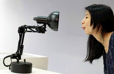 Lady Chatterley's Tinderbot: Modern dating at Dublin's Science Gallery