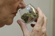 Health authority recommends medicinal cannabis to be made available for "specified conditions"