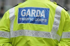 International policing expert to carry out 'root-and-branch' review of An Garda Síochána
