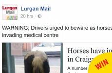 Many congrats to the people of Armagh for all of the inevitable horse puns