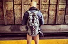 Commuters take off their pants...for art