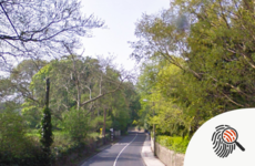 The unsolved case of Felix McCann: Savagely beaten to death in a south Dublin shed