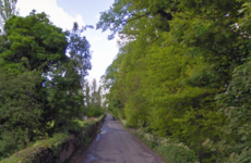 Fatal hit-and-run: Gardaí looking for info on green Mondeo that failed to stay at scene