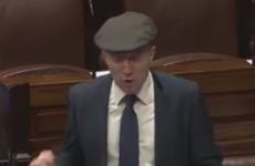 'The rhododendrons are taking over': Healy-Rae says army should be sent to Killarney National Park