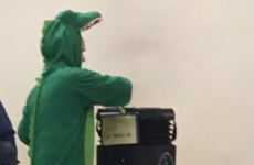 As the North votes, why do Sinn Féin keep going on (and on) about crocodiles?