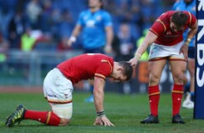 Reports of George North's demise are greatly exaggerated, says Schmidt
