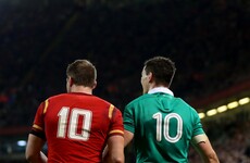 If you can bear to watch, here are the highlights from Ireland's incredibly frustrating night in Wales