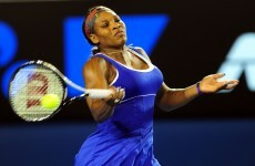 Insects, not ankle, bug Serena in Aussie comeback