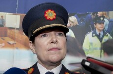'It is inevitable we will identify more examples of bad practice': Garda Commissioner