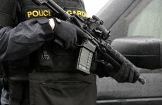 Gardaí are monitoring a small number of individuals 'who do not have this country's interests at heart'