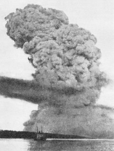 Halifax Explosion: The accidental blast that killed 2,000 people a century ago