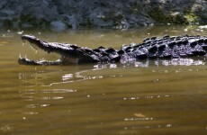 Ten-year-old girl eaten by crocodile as father looked on