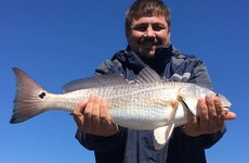 DNA tests confirm remains of missing South African hunter 'found in crocodiles'