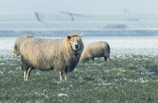 There's some wintry weather on the way this week