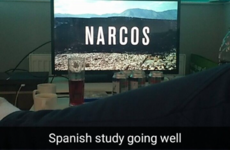UL students have a brilliant annual tradition of documenting their procrastination during exams