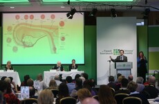 Varadkar says he understands TDs reluctance to sit on Eighth Amendment committee