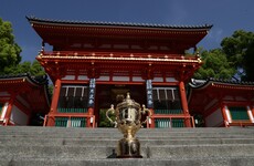 Pumas, 'Boks and Les Bleus the ones to avoid as Ireland go to RWC draw as a top seed