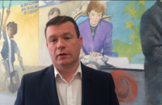 'Garda HR boss has done a great service to the country' - Alan Kelly