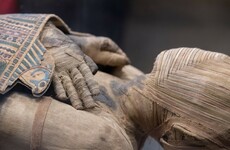 Archaeologists discover 17 mummies in Egypt catacombs