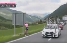 Giro leader Tom Dumoulin needed a 'toilet break' at the worst possible time today