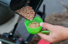 Farmers use maggots to tackle China's mountain of food waste