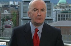 Everybody was worried that a squawking seagull was going to attack Tommie Gorman on RTÉ News last night