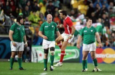 Pack of eight: All you need to know about Wales