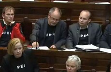 Poll: Should speaking time for smaller Dáil parties be reduced?