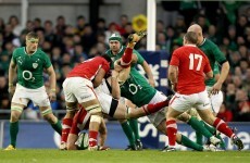 Here's what the Welsh media thought of Ireland's performance yesterday