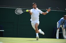 Djokovic shrugs off McEnroe's Tiger comparison
