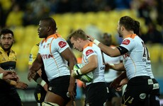 Pro12-linked Cheetahs and Kings officially cut from Super Rugby and ready for a new international competition