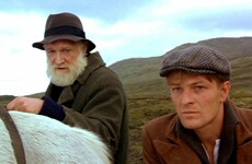 What Is Your Irish Farmer Name?