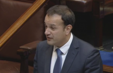 Leo Varadkar tells Dáil Jobstown protest was like 'a scene from Lord of the Flies'