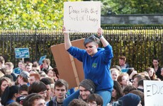 'I couldn’t imagine being able to afford loans of €20,000 for my degree'