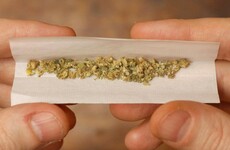 Pharmacies in Uruguay to start selling marijuana next week