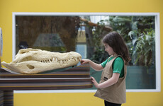 7 great things to do with the kids this weekend - from puppets to dinosaurs