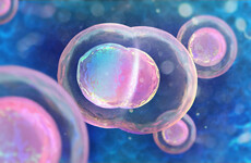Scientists fix disease genes in human embryos for the first time