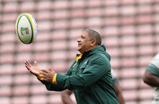 Argentina arrive to put pressure on 'Boks team still with plenty to prove despite French Tests