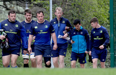 'Spanner in the works' of early South African trip still a problem for Leinster to work out