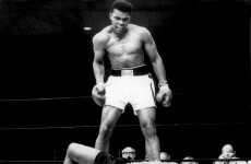 Head space: why do some fighters suffer brain damage and others don't?
