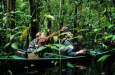 Plans to allow mining in the Amazon rainforest have been halted