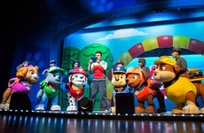 8 family events to head to this weekend - from Paw Patrol to Lego workshops