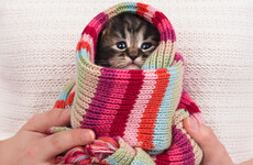 Poll: It's autumn - have you turned the heating on yet?