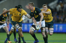 Springboks recover to claim thrilling draw with Australia