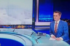 Aengus Mac Grianna had the best facial expression after a mistake on the RTÉ News last night