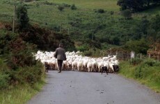 EC takes back €141k in agriculture expenditure from Ireland