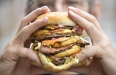 'Test tube' hamburger could be served later this year